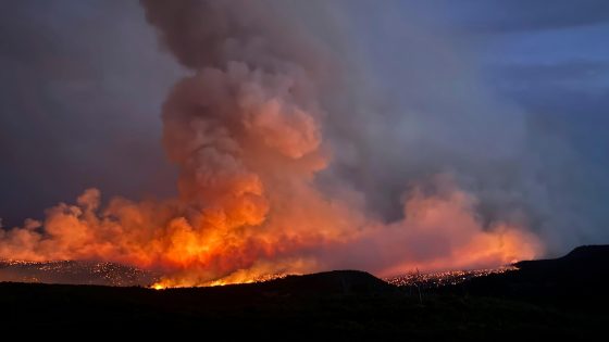 A man trying to cremate his dog sparked a wildfire in Colorado, authorities say – MASHAHER