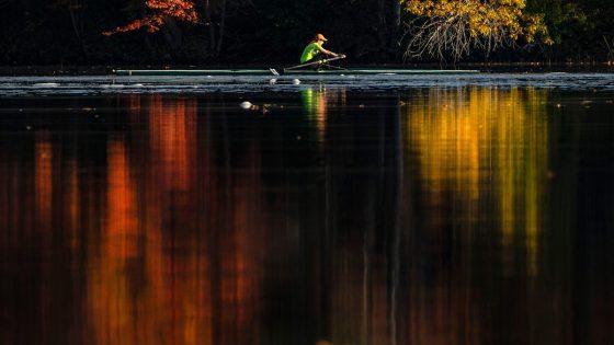 The Midwest could offer fall’s most electric foliage but leaf peepers elsewhere won’t miss out – MASHAHER