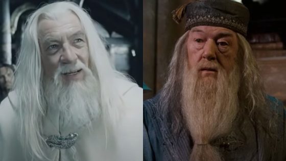 Gandalf And Dumbledore Frequently Get Mixed Up, And Ian McKellen Explained The Funny Way He And Michael Gambon Dealt With It – MASHAHER