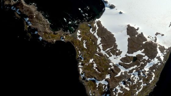 Scientists looked at images from space to see how fast Antarctica is turning green. Here’s what they found – MASHAHER