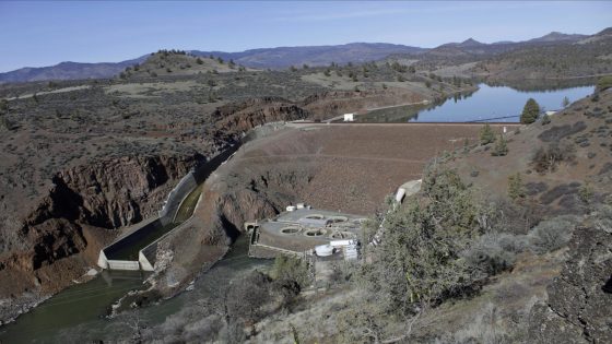 Salmon swim freely in the Klamath River for 1st time in a century after dams removed – MASHAHER