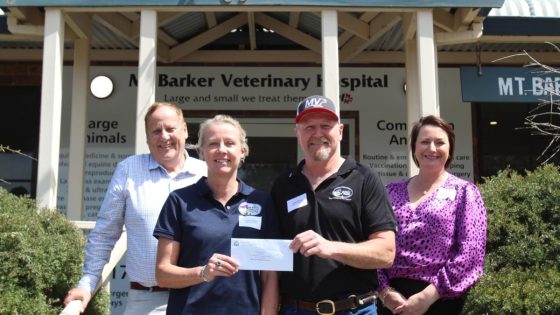 Mt Barker to construct Great Southern’s first equine medical and surgical facility thanks to $225k REDs grant – MASHAHER