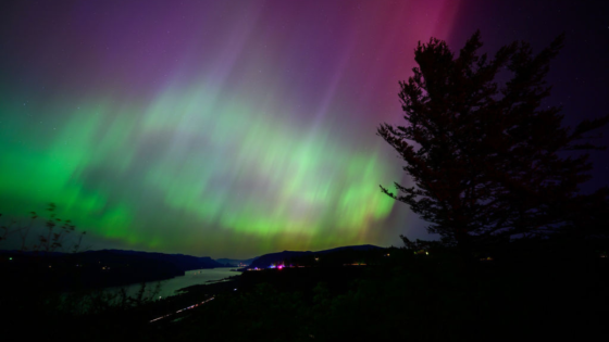 How to view the Northern Lights in the U.S. this weekend – MASHAHER