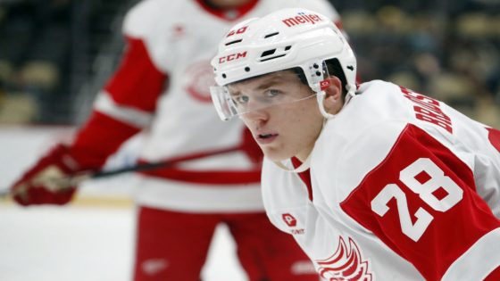 Breaking: Red Wings Trim Roster Down to 28 – MASHAHER