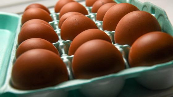 FDA upgrades recall of eggs linked to salmonella to ‘serious’ health risks. Any KY cases? – MASHAHER