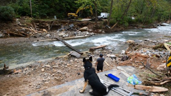 Video of NC Dogs Reuniting with Pet Parents After Devastating Storm Is Everything – MASHAHER