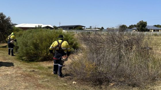 City expecting to spend $1.3 million on verge mowing after record rainfall leads to growth boom – MASHAHER