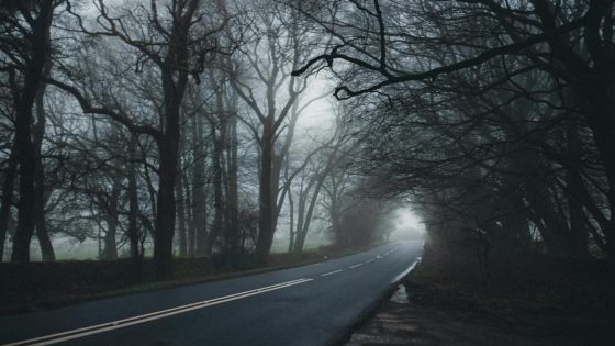 This San Diego road is considered to be among the ‘most haunted’ in US – MASHAHER