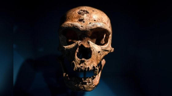 Who was the last Neanderthal? – MASHAHER