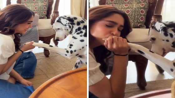 Sharvari supports Alpha co-star Alia Bhatt’s Jigra, grooves with her dog Miso on ‘Tenu Sang Rakhna’ : Bollywood News – MASHAHER