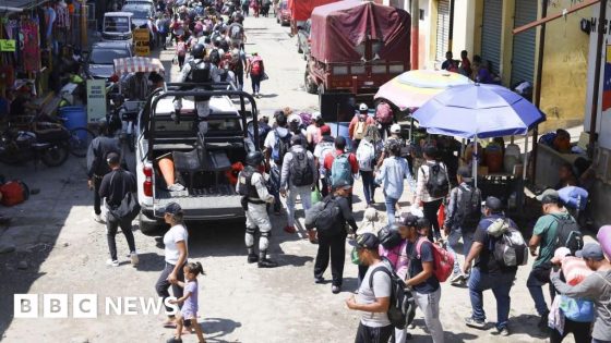 Six migrants killed after Mexico soldiers open fire – MASHAHER