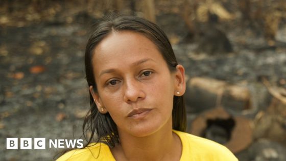 Amazon’s record forest fires hit Brazil’s indigenous communities – MASHAHER