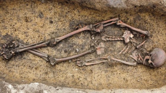 50 Viking Age burials discovered in Denmark, including a woman in a rare ‘Viking wagon’ – MASHAHER