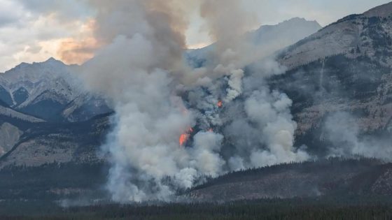 8 hikers violate trail closure, get “too tired” to continue, and call mountain rescue – now they face up to $25,000 in fines – MASHAHER