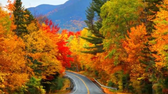 How climate change is impacting fall foliage – MASHAHER