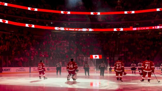 Red Wings Cut Roster to 23, Officially Salary Cap Compliant – MASHAHER