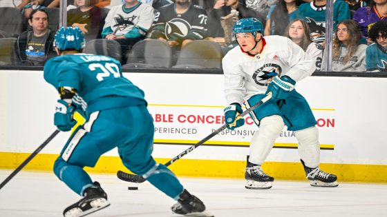 Four Sharks Prospects On THN’s Top 100 NCAA Players To Watch List – MASHAHER