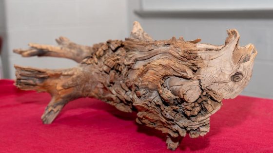 This 3,375-Year-Old Log Could Be the Climate Change Solution We’ve Been Waiting For – MASHAHER