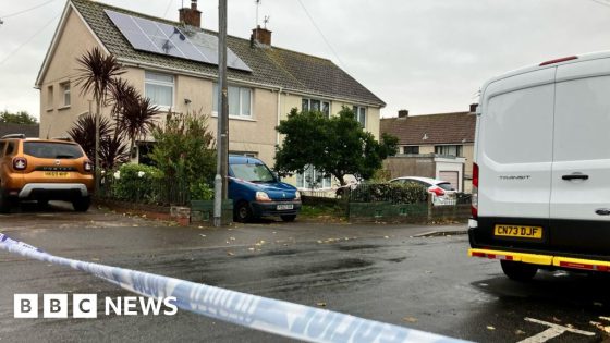 Dead dog and rifle found with Cardiff couple’s bodies – MASHAHER