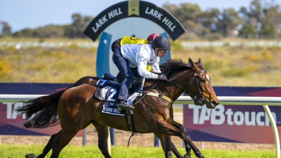 Promising mare Yonga Lass is back in form after cosy win at Lark Hill trials – MASHAHER