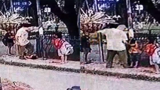 On CCTV, Punjab Man Beats Boy, 5, For Imitating His Pet Dog – MASHAHER