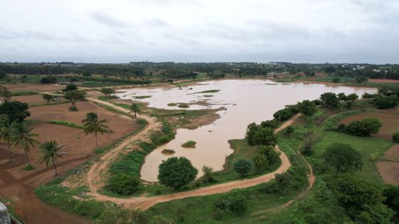 RCB restores lakes in Bengaluru – MASHAHER