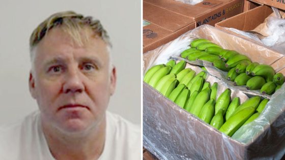 One of UK’s most wanted men jailed over plot to smuggle cocaine ‘worth £100m’ in banana boxes | UK News – MASHAHER