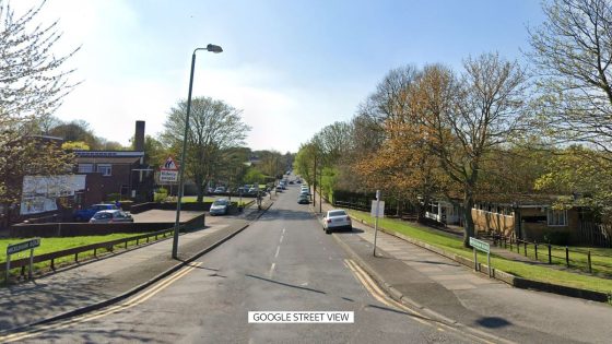 Two children and a woman attacked by four ‘dangerously out of control’ dogs in Orpington | UK News – MASHAHER