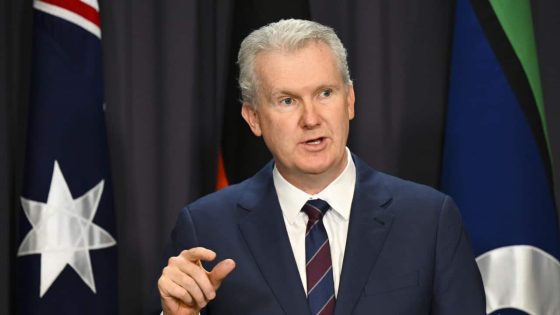 Tony Burke has granted the first humanitarian visas to Palestinian families fleeing Gaza – MASHAHER